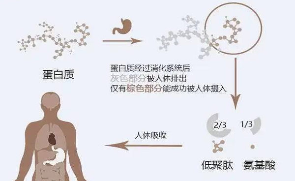 选择离心浓缩仪时应该注意哪些事项呢？