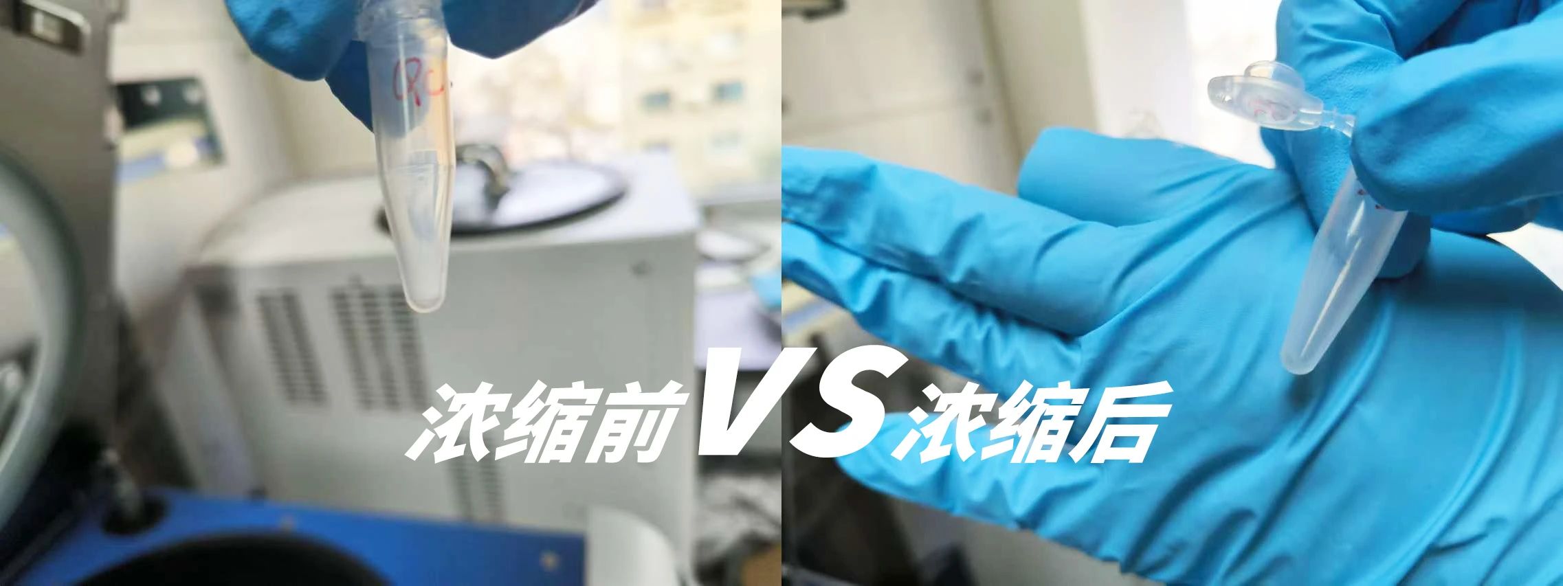 离心浓缩仪在脂质代谢物中的应用